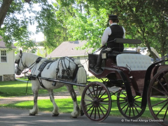 Horse drawn carriage in Niagara on the Lake 2012