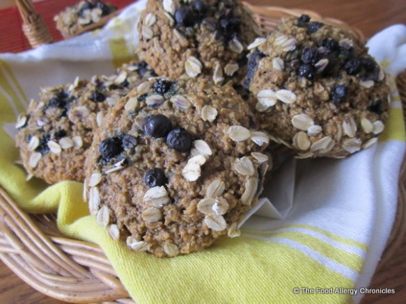 A basket of Dairy, Egg, Soy and Peanut/Tree Nut Free Oatmeal Blueberry Muffins