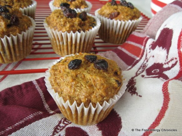 Ready to enjoy a Dairy, Egg, Soy and Peanut/Tree Nut Free Wholewheat Carrot Raisin Muffin